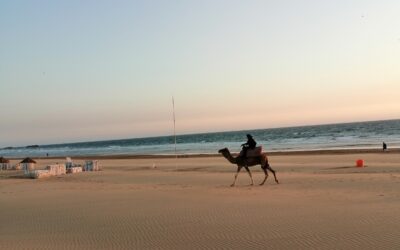 Vendredi 2 juin – repos à Agadir