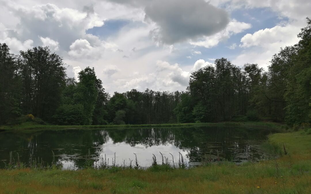 Samedi 1er juin – Le plateau des 1000 étangs