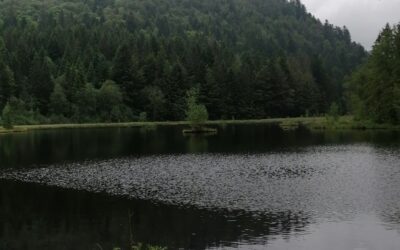 Samedi 8 juin – Les lacs de Lispach, Longemer, Retournemer