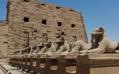 Vendredi 20 juin – Les temples de Karnac et le temple de Louxor