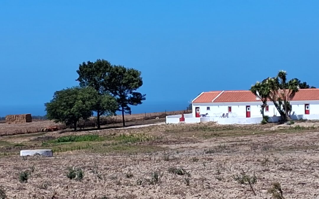 Vendredi 29 août – de Cercal à Porto covo