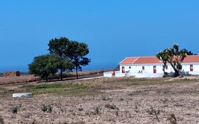 Vendredi 29 août – de Cercal à Porto covo