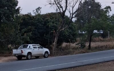 15 février – Trajet d’Erawan à Sukhothai