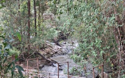 23 février – le trekking des rizières et trajet vers  Paï